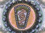 Human_Immunodeficency_Virus_-_stylized_rendering.jpg